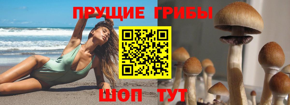 Галлюциногенные грибы Cubensis  Вход с VPN  Тихвин 